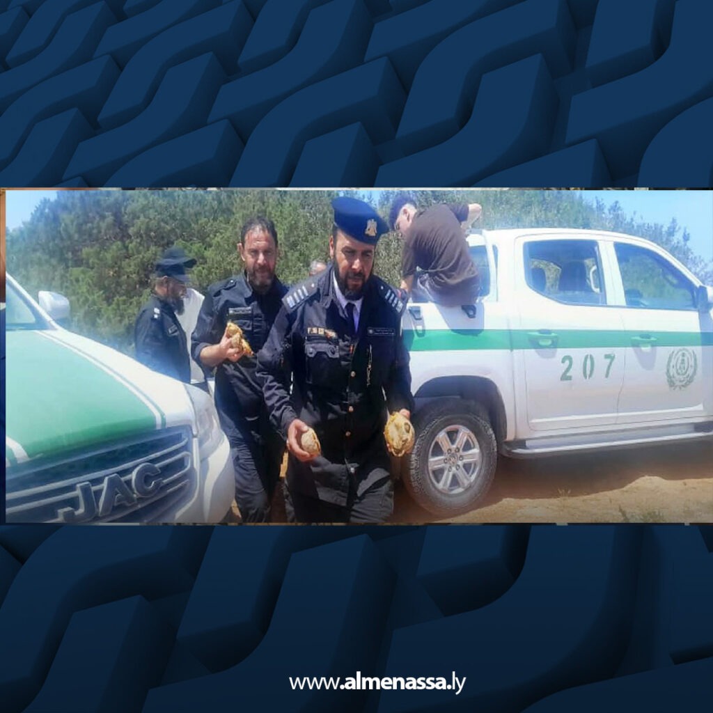 extra Recovered 69.jpg3 69 جهاز الشرطة الزراعية يحبط تهريب سلاحف برية عبر منفذ أمساعد ويعيد إطلاقها