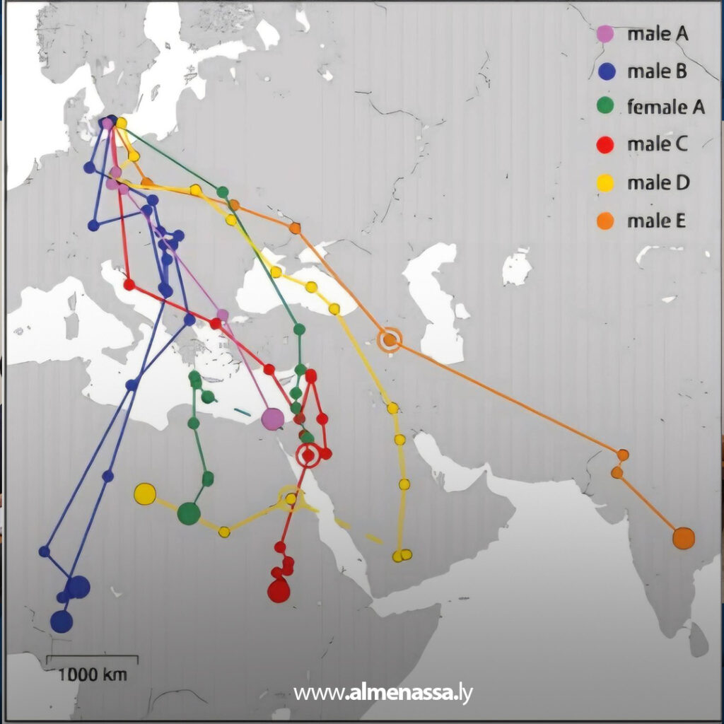 extra Recovered 8.jpg1 8