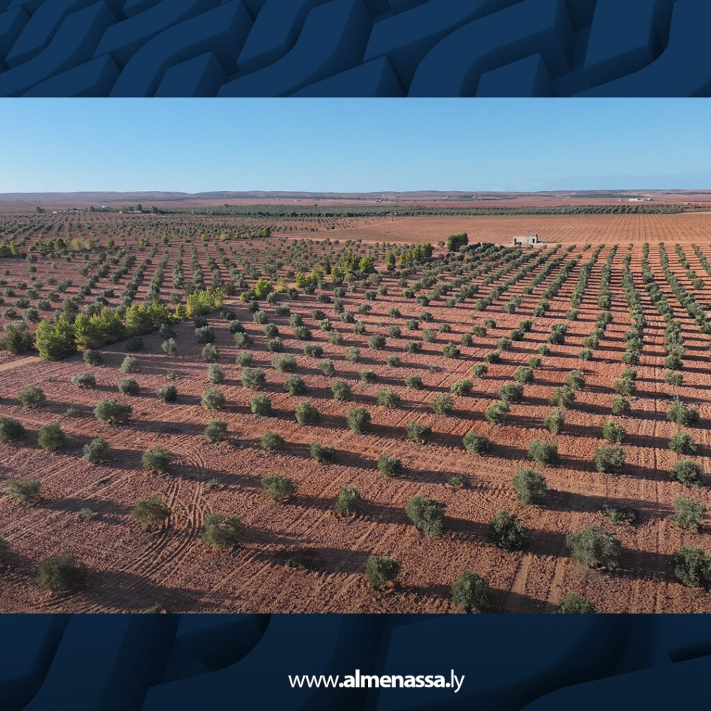 extra Recovered Recovered 1.jpg11 1