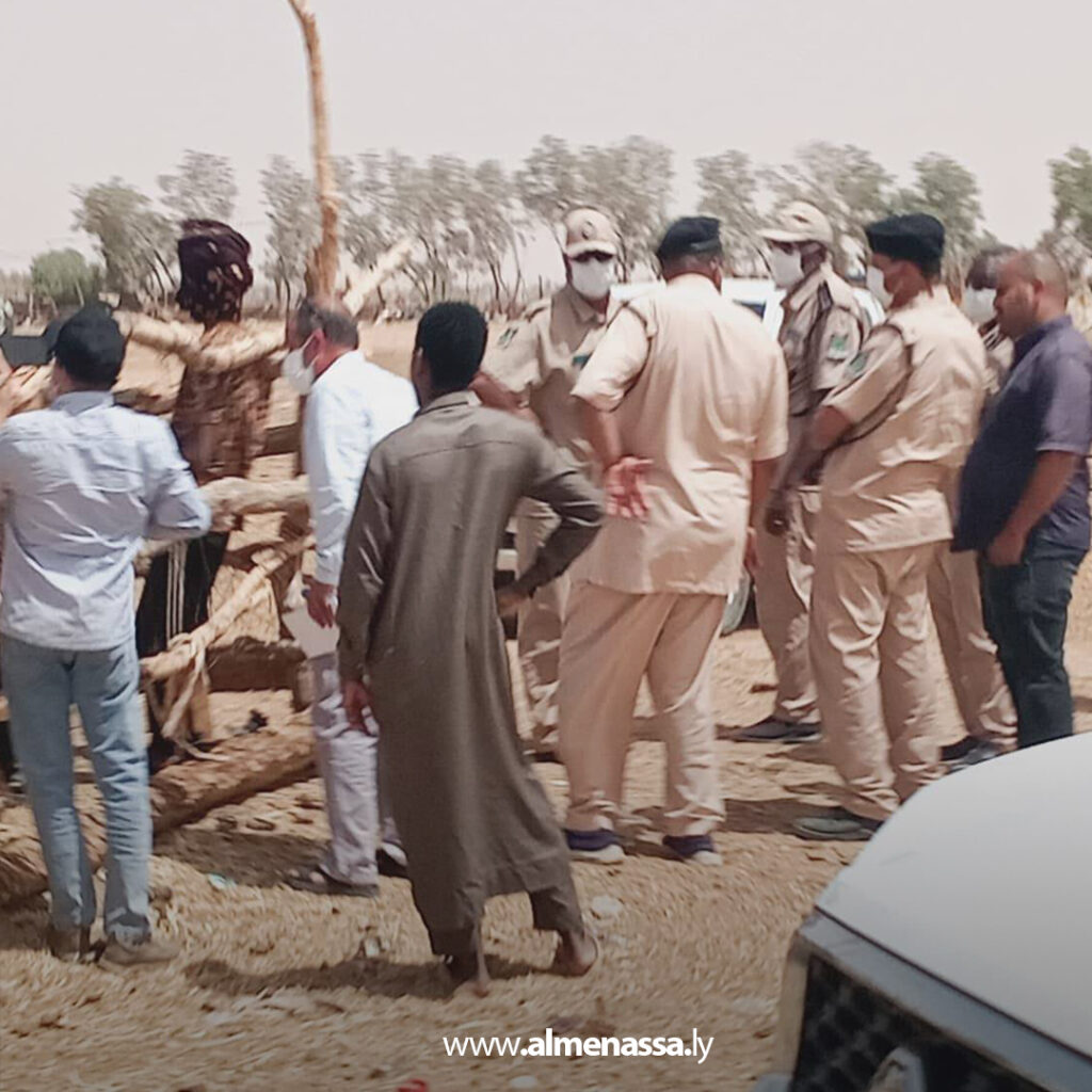 Extra 70.jpg1 70 اشتباه إصابات بمرض الجلد العقدي في أبقار واردة من دول الجوار بسوق أم الأرانب