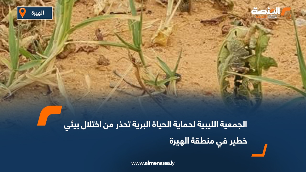 الجمعية الليبية لحماية الحياة البرية تحذر من مخاطر إدخال أنواع غير محلية إلى بيئة سوكنة