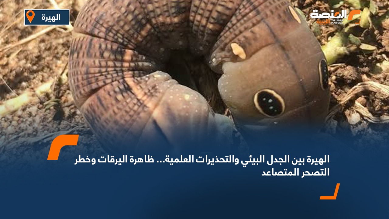 الشؤون الاجتماعية تسلم كوبونات أضاحي العيد لبلديات الجبل الغربي لدعم الأسر المحتاجة