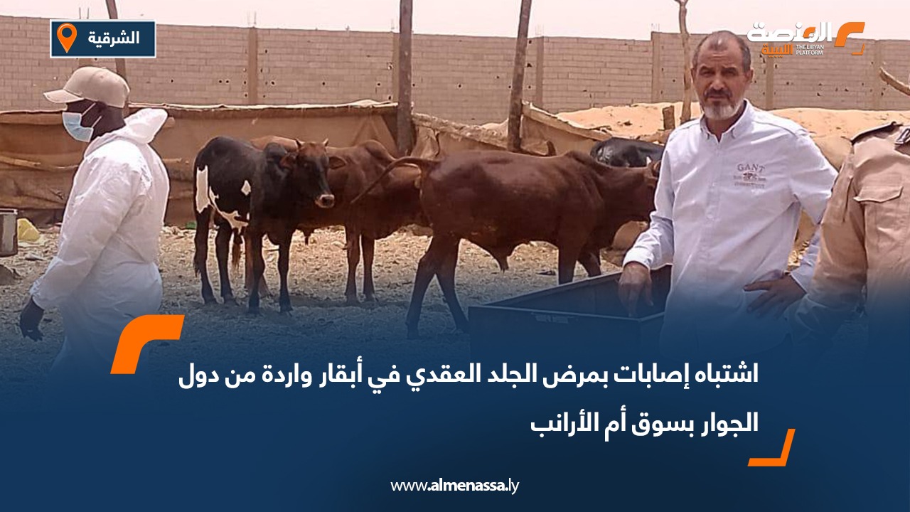 اشتباه إصابات بمرض الجلد العقدي في أبقار واردة من دول الجوار بسوق أم الأرانب