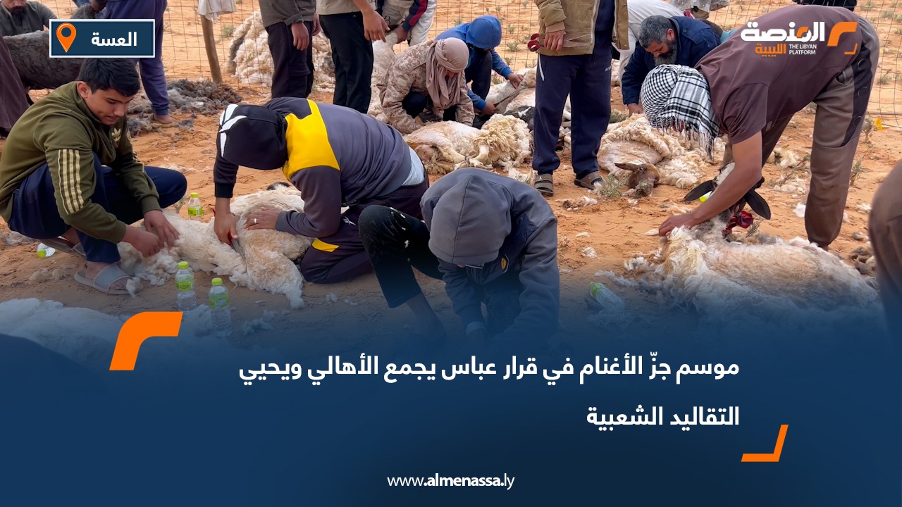 موسم جزّ الأغنام في قرار عباس يجمع الأهالي ويحيي التقاليد الشعبية