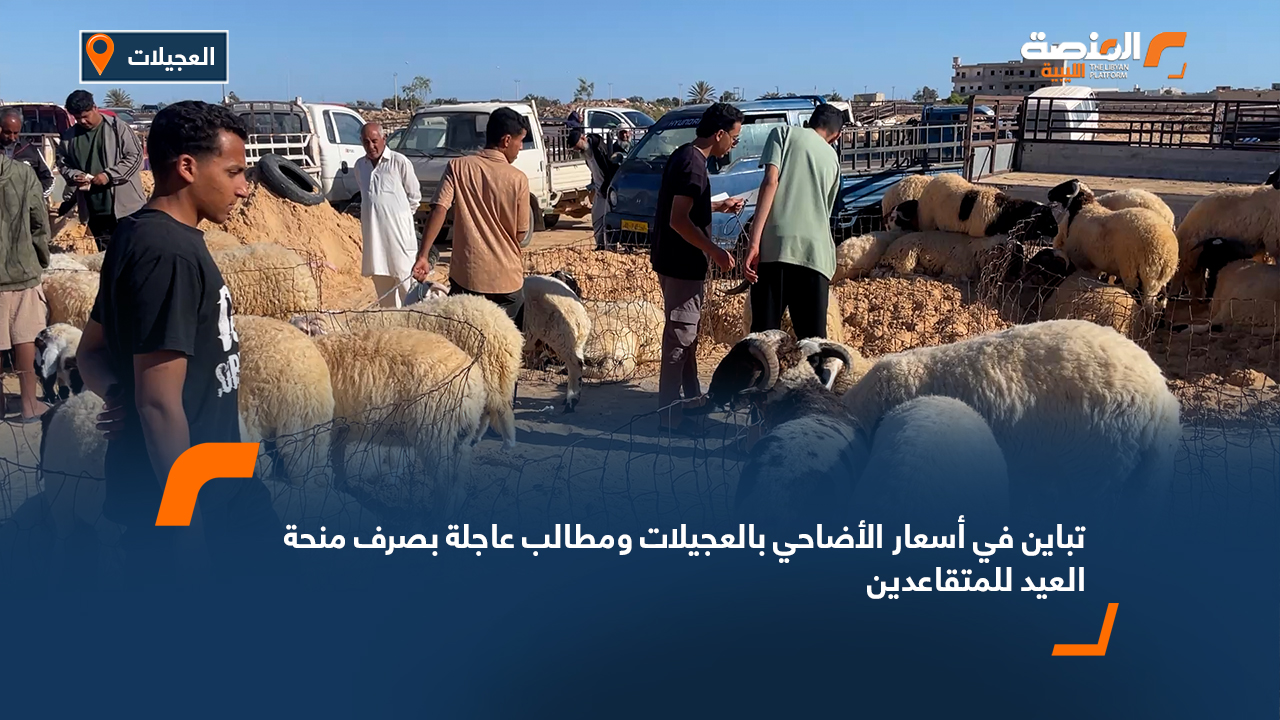 تباين في أسعار الأضاحي بالعجيلات ومطالب عاجلة بصرف منحة العيد للمتقاعدين