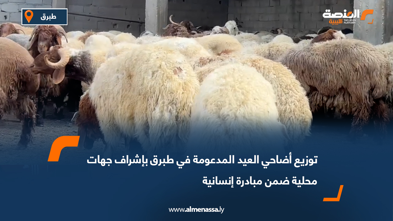 توزيع أضاحي العيد المدعومة في طبرق بإشراف جهات محلية ضمن مبادرة إنسانية
