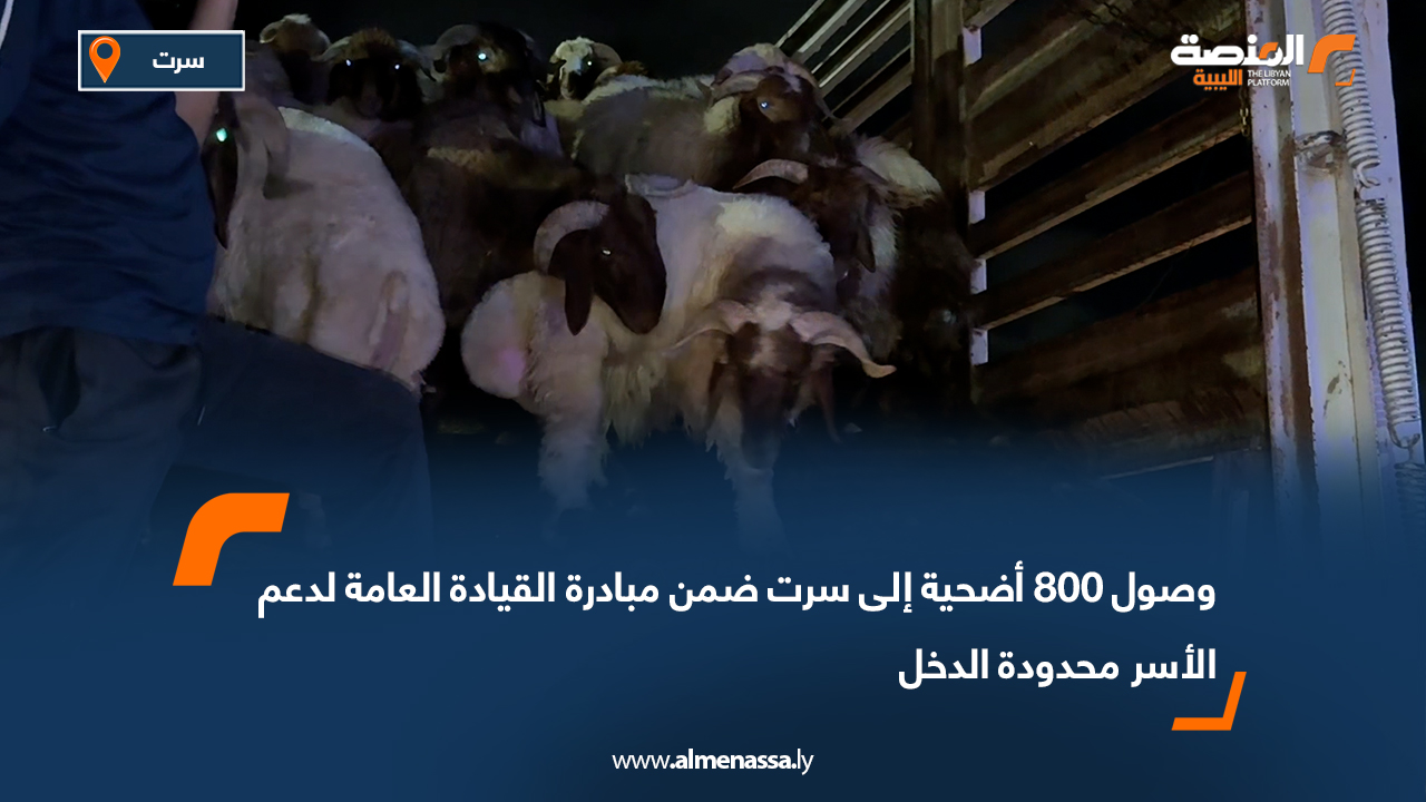 وصول 800 أضحية إلى سرت ضمن مبادرة القيادة العامة لدعم الأسر محدودة الدخل