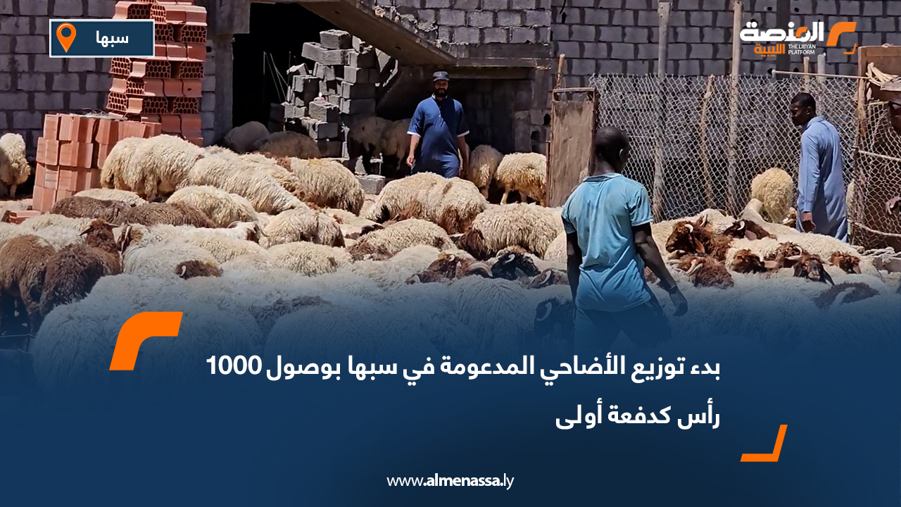 بدء توزيع الأضاحي المدعومة في سبها بوصول 1000 رأس كدفعة أولى