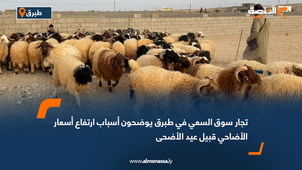 تجار سوق السعي في طبرق يوضحون أسباب ارتفاع أسعار الأضاحي قبيل عيد الأضحى