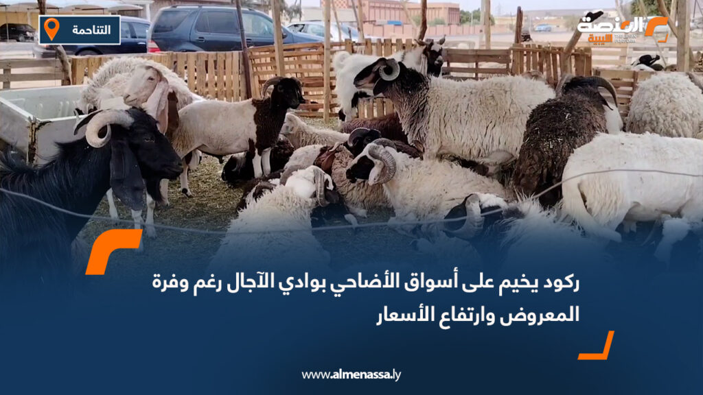 ركود يخيم على أسواق الأضاحي بوادي الآجال رغم وفرة المعروض وارتفاع الأسعار