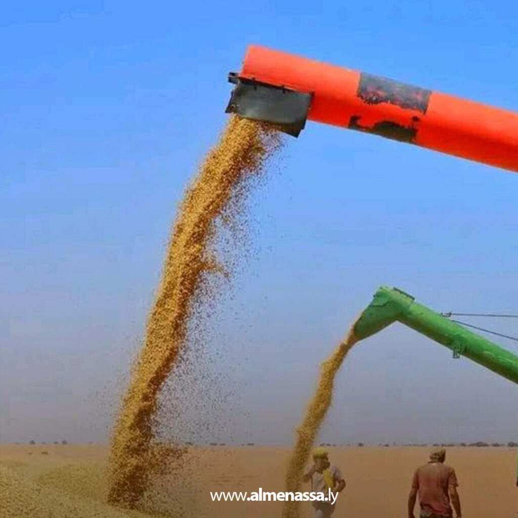 Extra 11.jpg111 11 انطلاق حصاد الموسم الزراعي بمشروعات الجهاز الوطني للتنمية في الجنوب