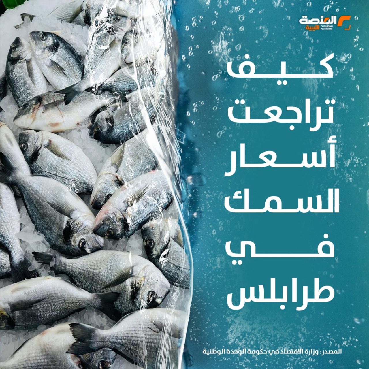 تراجع أسعار السمك بعد قرار حظر التصدير