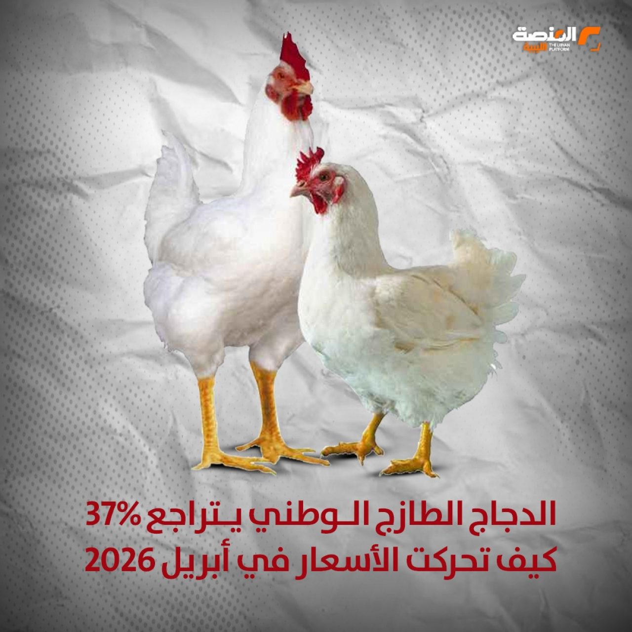 تراجع كبير في اسعار الدواجن في الفترة بين 1 إلى 28 أبريل 2026