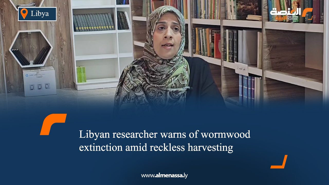 Libyan researcher warns of wormwood extinction amid reckless harvesting