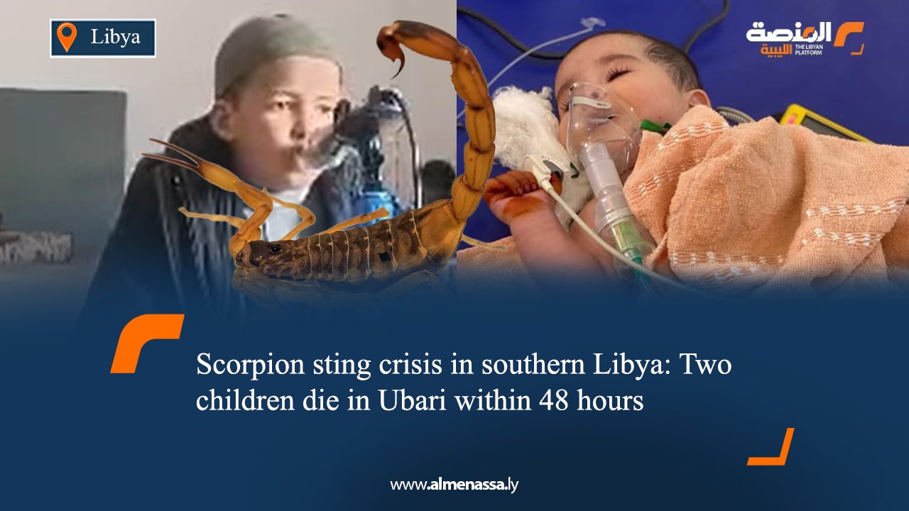 Scorpion sting crisis in southern Libya: Two children die in Ubari within 48 hours