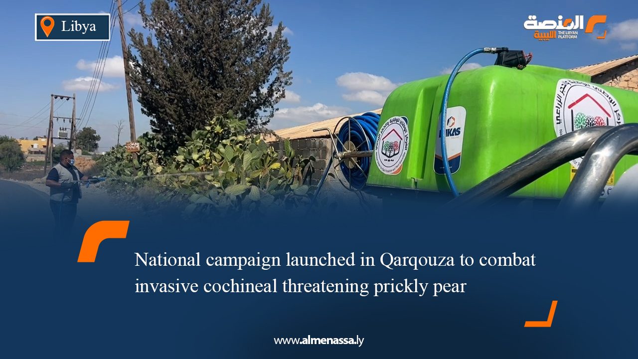 National campaign launched in Qarqouza to combat invasive cochineal threatening prickly pear