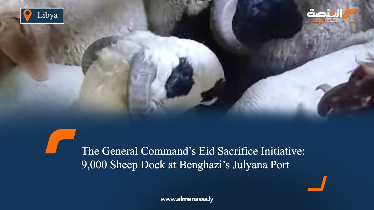 The General Command’s Eid Sacrifice Initiative: 9,000 Sheep Dock at Benghazi's Julyana Port