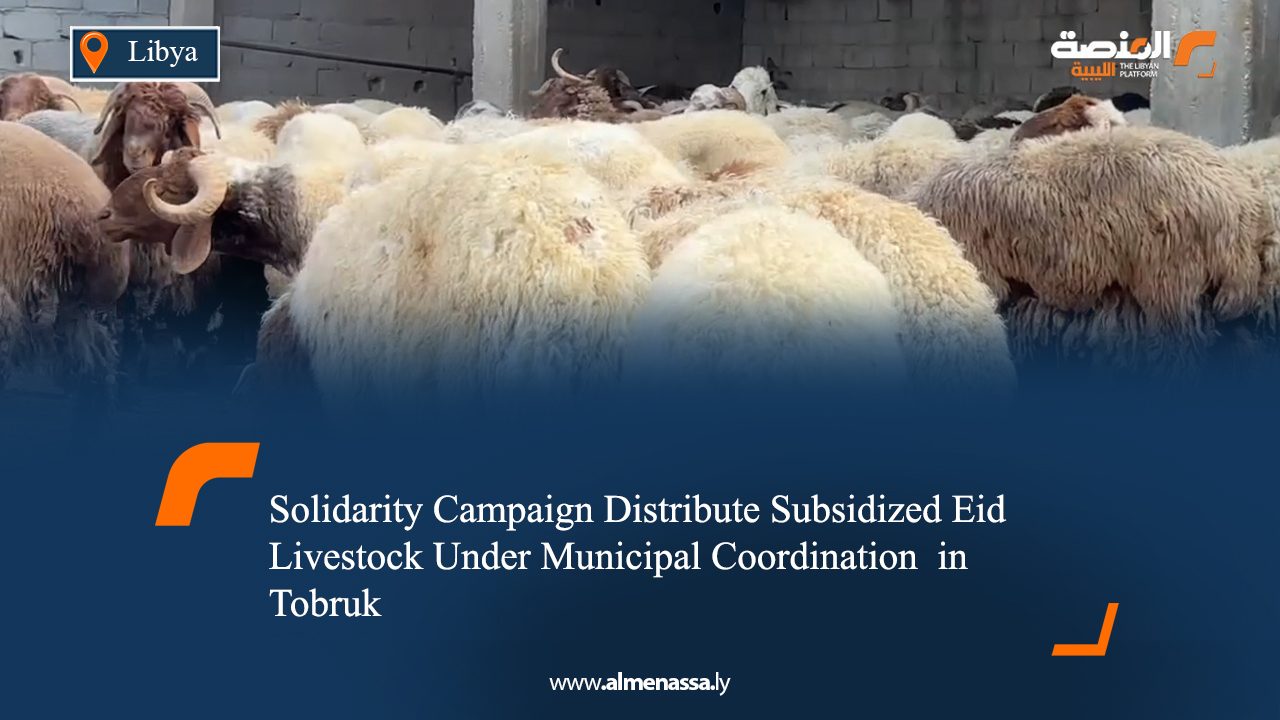 Solidarity Campaign Distribute Subsidized Eid Livestock Under Municipal Coordination  in Tobruk