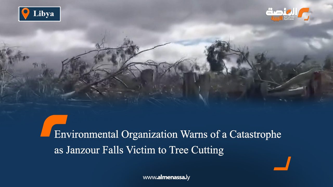 Environmental Organization Warns of a Catastrophe as Janzour Falls Victim to Tree Cutting