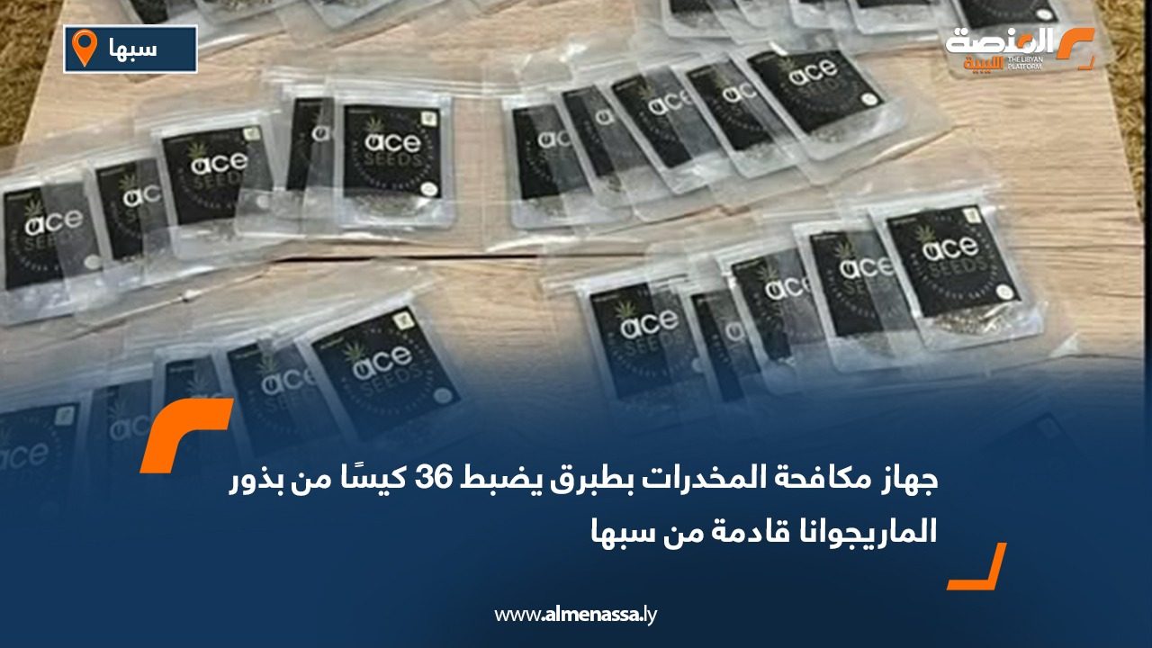 IMG-20260212-WA0017(1)