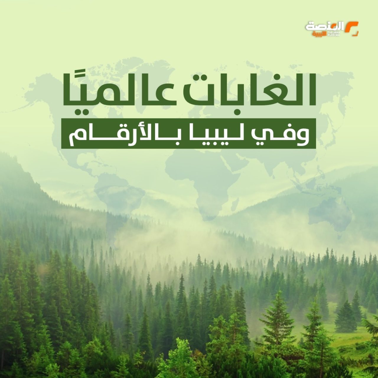 الغابات عالمياً وفي ليبيا بالأرقام