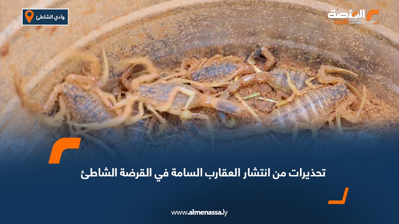 تحذيرات من انتشار العقارب السامة في القرضة الشاطئ