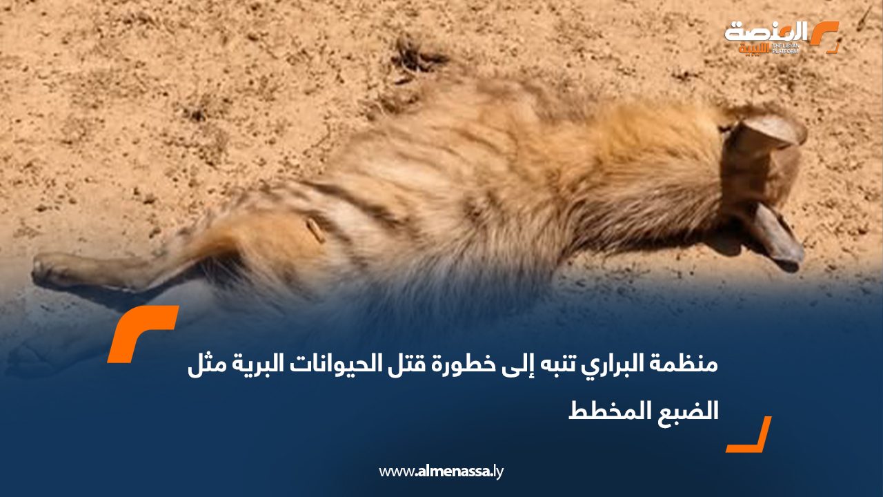 منظمة البراري تنبه إلى خطورة قتل الحيوانات البرية مثل الضبع المخطط
