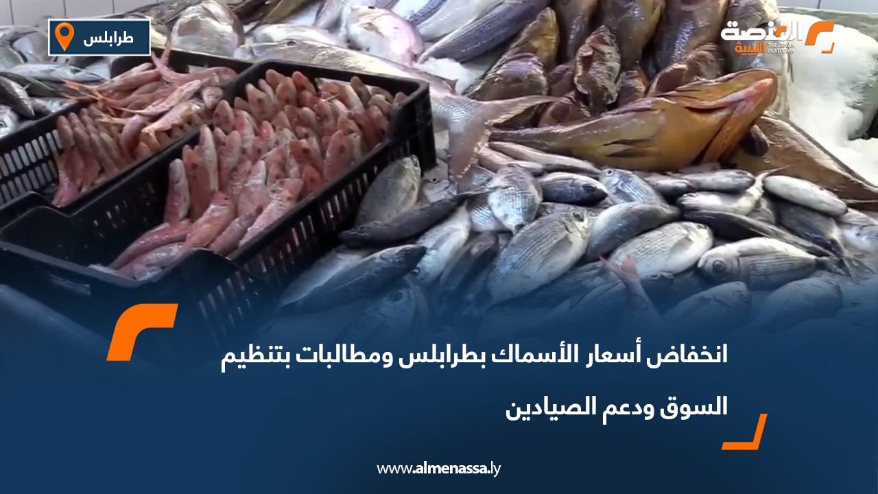 انخفاض أسعار الأسماك بطرابلس ومطالبات بتنظيم السوق ودعم الصيادين