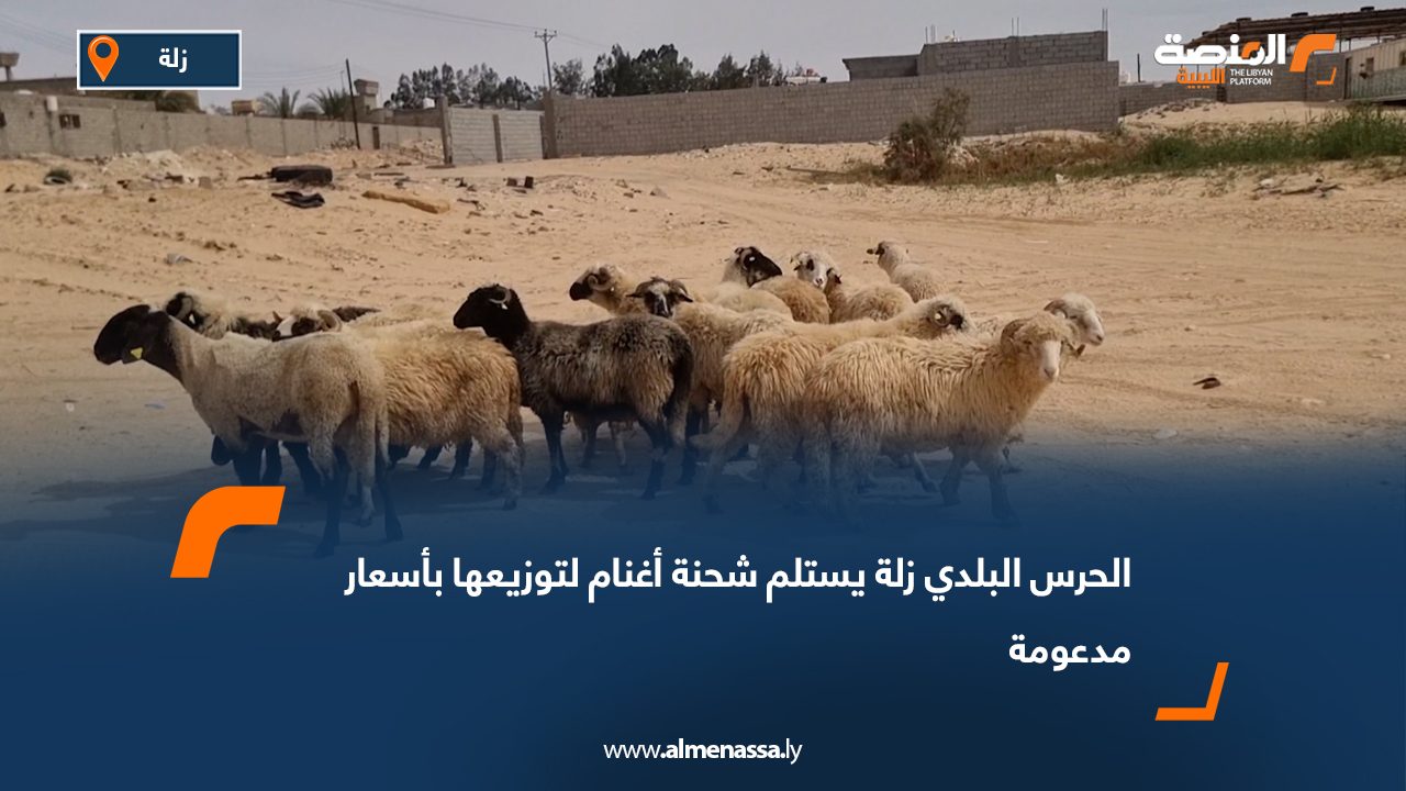 الحرس البلدي زلة يستلم شحنة أغنام لتوزيعها بأسعار مدعومة