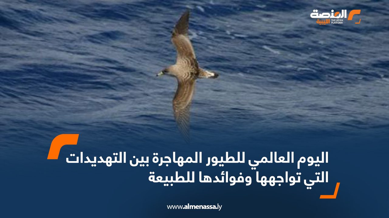 اليوم العالمي للطيور المهاجرة بين التهديدات التي تواجهها وفوائدها للطبيعة