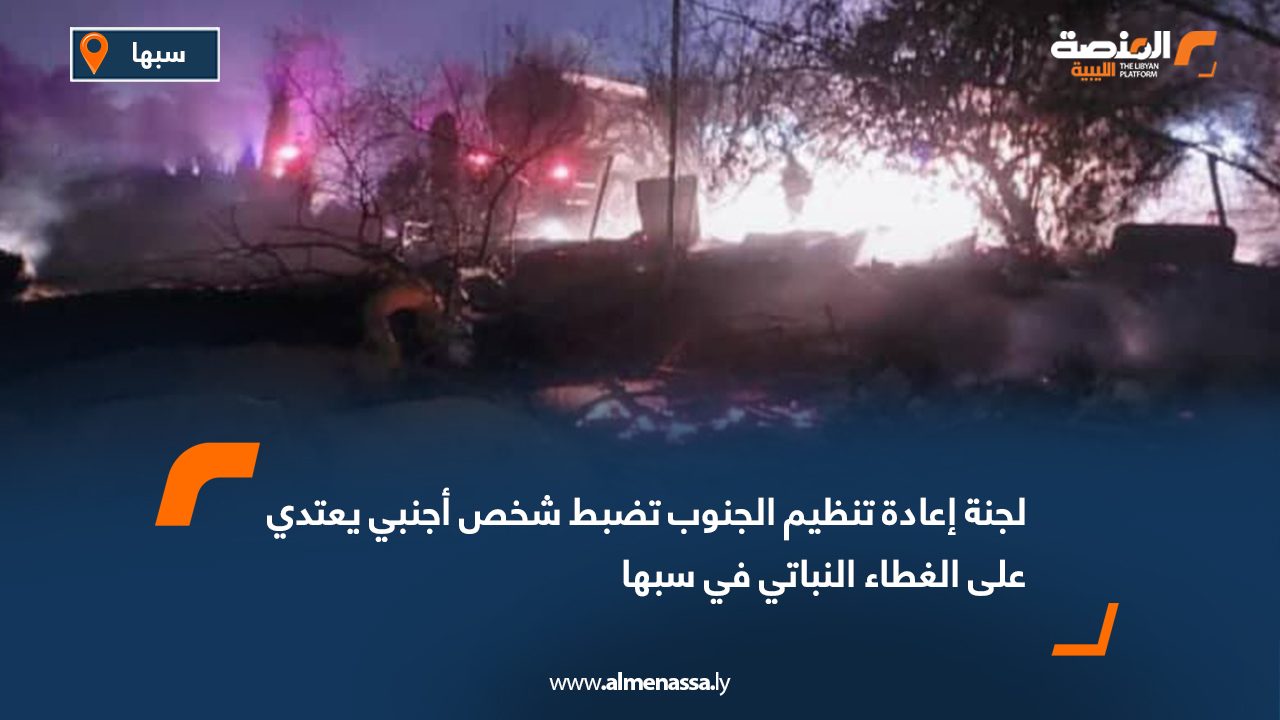 لجنة إعادة تنظيم الجنوب تضبط شخص أجنبي يعتدي على الغطاء النباتي في سبها