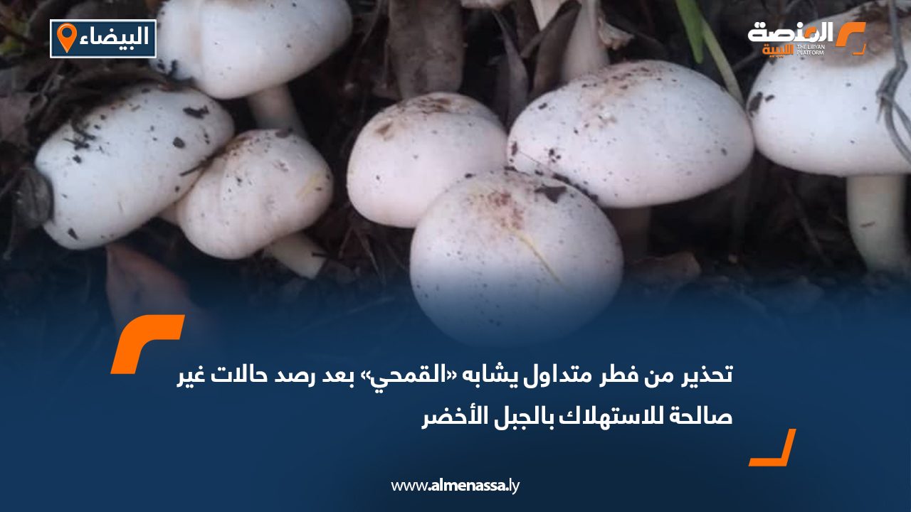 تحذير من فطر متداول يشابه «القمحي» بعد رصد حالات غير صالحة للاستهلاك بالجبل الأخضر