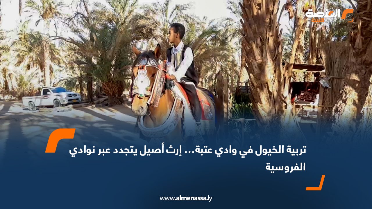 تربية الخيول في وادي عتبة… إرث أصيل يتجدد عبر نوادي الفروسية