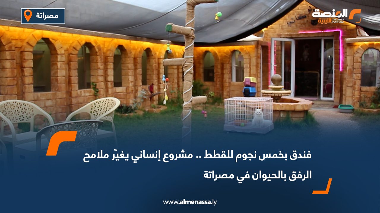 فندق بخمس نجوم للقطط.. مشروع إنساني يغيّر ملامح الرفق بالحيوان في مصراتة