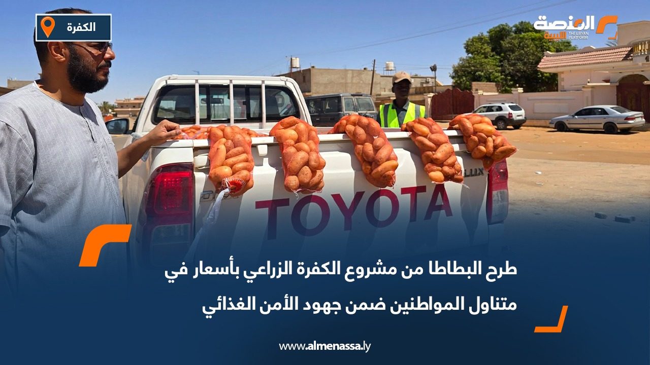 طرح البطاطا من مشروع الكفرة الزراعي بأسعار في متناول المواطنين ضمن جهود الأمن الغذائي