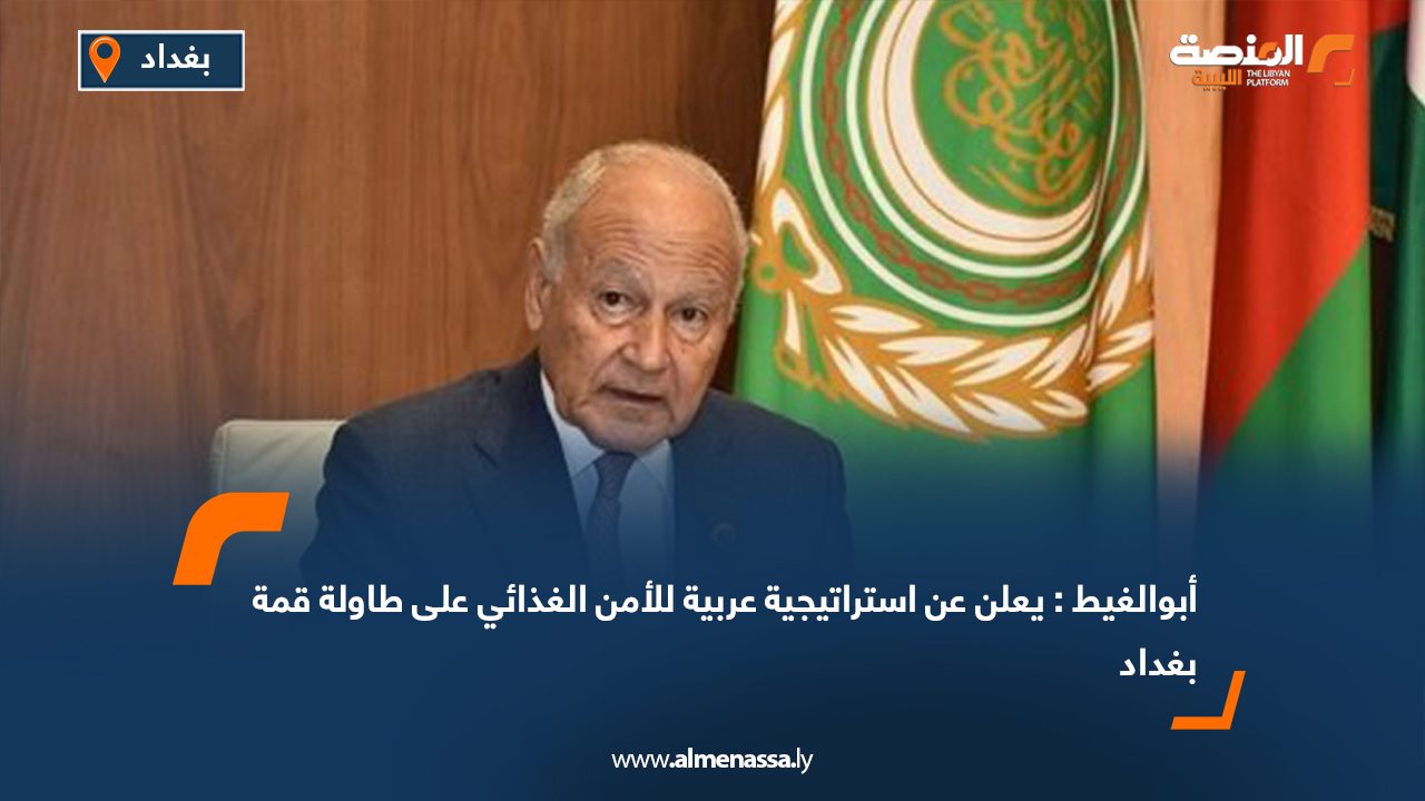 أبوالغيط : يعلن عن استراتيجية عربية للأمن الغذائي على طاولة قمة بغداد