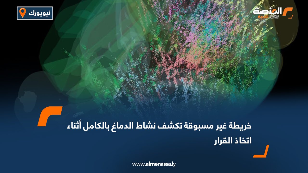 خريطة غير مسبوقة تكشف نشاط الدماغ بالكامل أثناء اتخاذ القرار