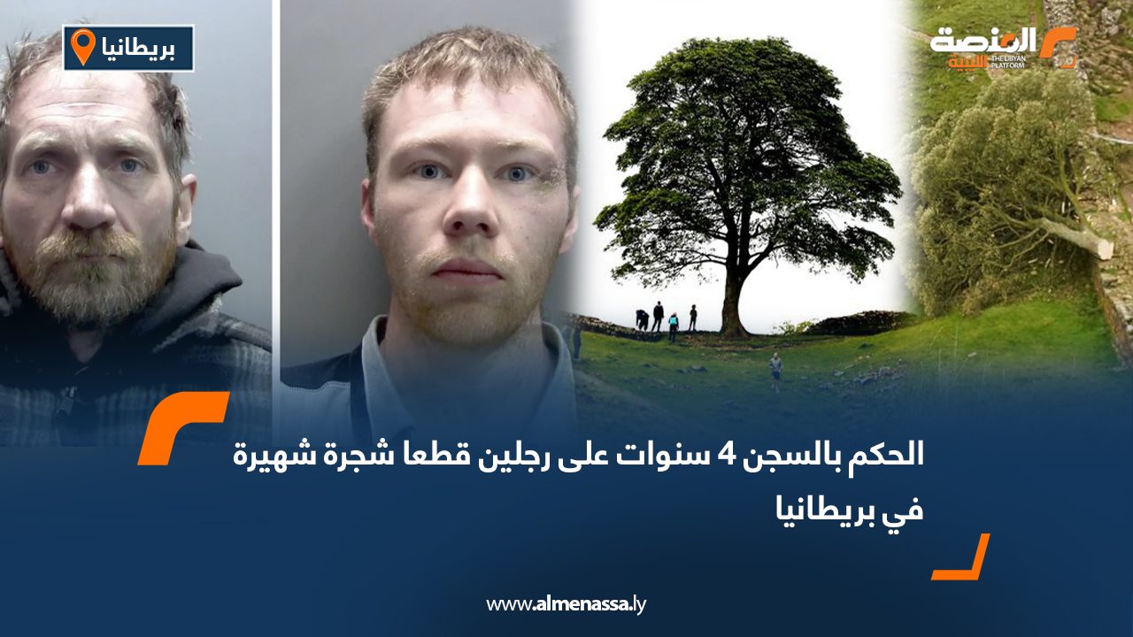 الحكم بالسجن 4 سنوات لرجلين قطعا شجرة شهيرة في بريطانيا
