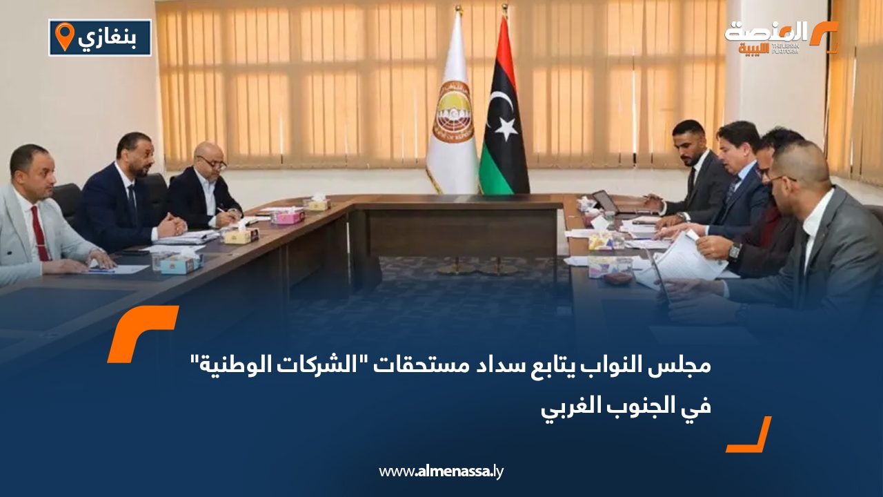 مجلس النواب يتابع سداد مستحقات "الشركات الوطنية" في الجنوب الغربي