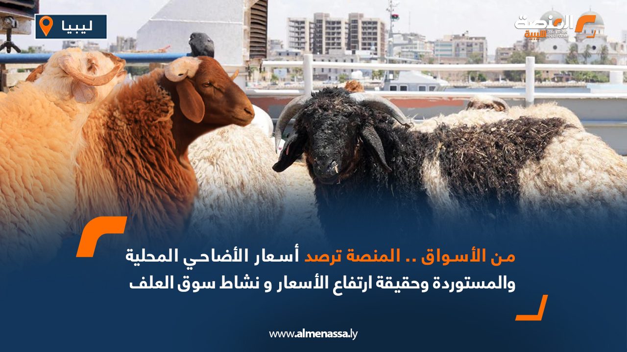 من الأسواق...المنصة ترصد أسعار الأضاحي المحلية والمستوردة وحقيقة ارتفاع الأسعار ونشاط سوق العلف  