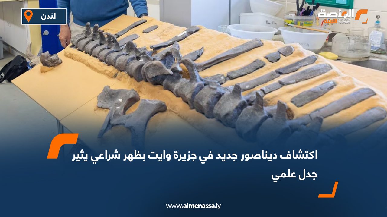 اكتشاف ديناصور جديد في جزيرة وايت بظهر شراعي يثير جدل علمي