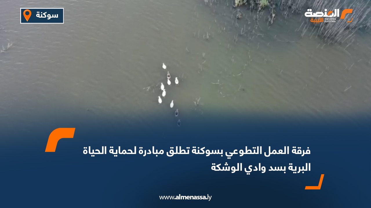 فرقة العمل التطوعي بسوكنة تطلق مبادرة لحماية الحياة البرية بسد وادي الوشكة