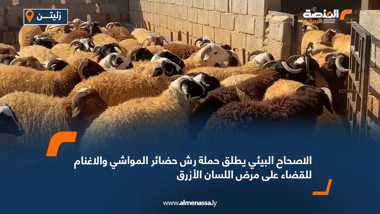 الاصحاح البيئي يطلق حملة رش حضائر المواشي والاغنام للقضاء على مرض اللسان الأزرق