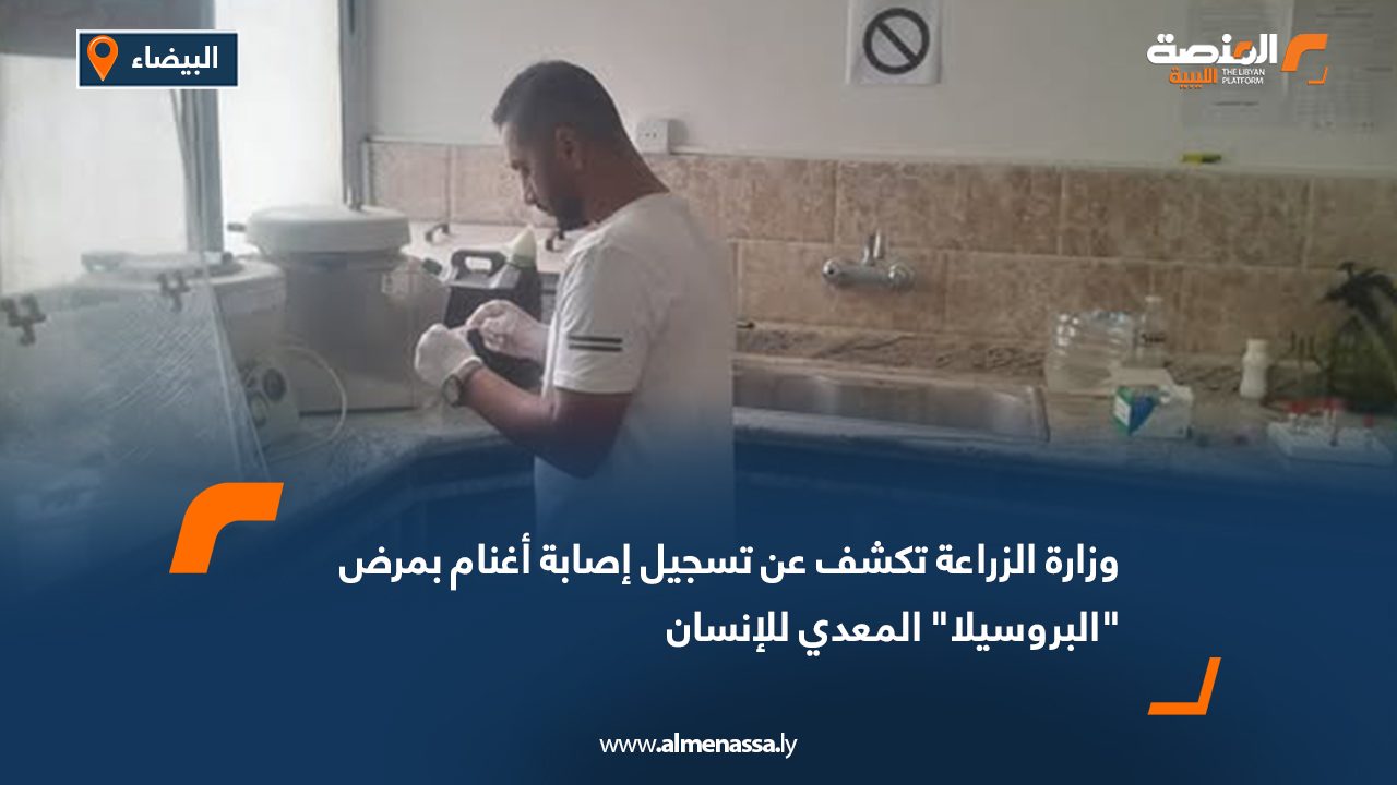 وزارة الزراعة تكشف عن تسجيل إصابة أغنام بمرض "البروسيلا" المعدي للإنسان