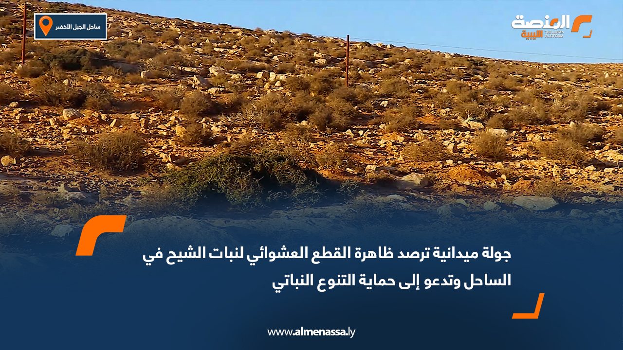 جولة ميدانية ترصد ظاهرة القطع العشوائي لنبات الشيح في الساحل وتدعو إلى حماية التنوع النباتي