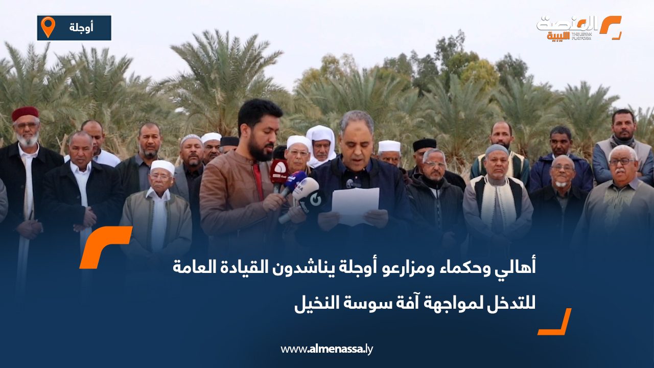 أهالي وحكماء ومزارعو أوجلة يناشدون القيادة العامة للتدخل لمواجهة آفة سوسة النخيل