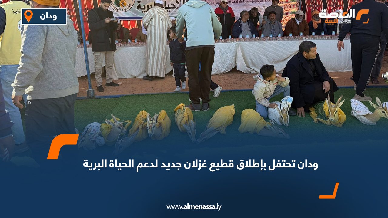 ودان تحتفل بإطلاق قطيع غزلان جديد لدعم الحياة البرية