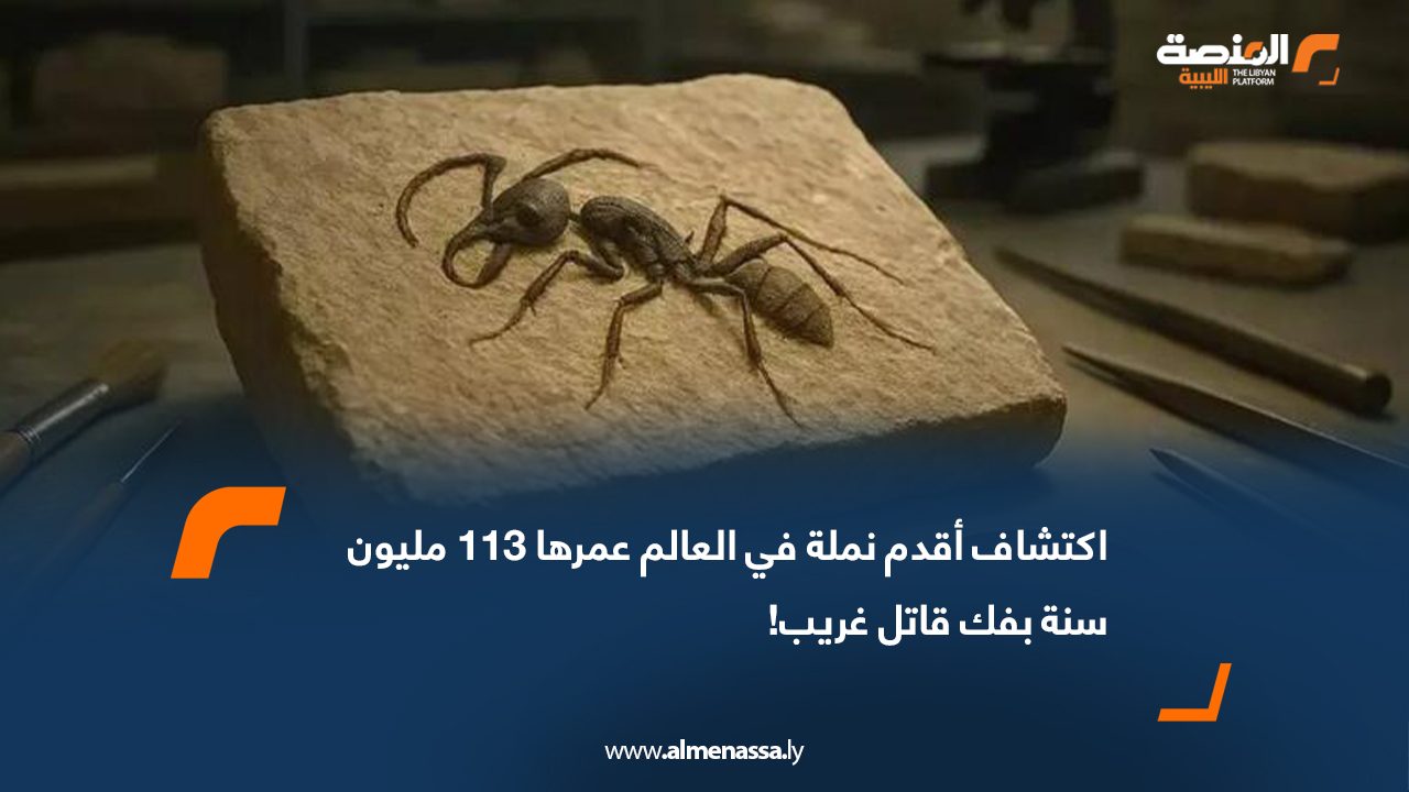 اكتشاف أقدم نملة في العالم عمرها 113 مليون سنة بفك قاتل غريب!