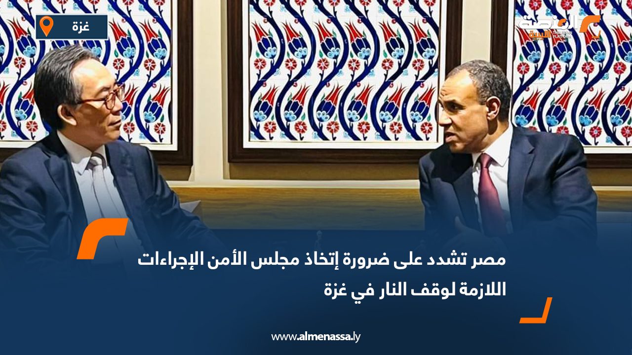 مصر تشدد على ضرورة اتخاذ مجلس الأمن الإجراءات اللازمة لوقف النار في غزة