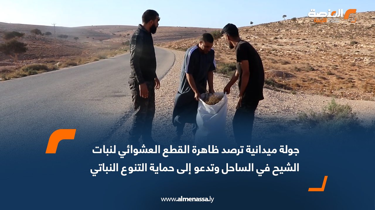 جولة ميدانية ترصد ظاهرة القطع العشوائي لنبات الشيح في الساحل وتدعو إلى حماية التنوع النباتي